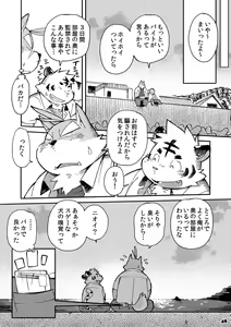 Page 47 of Mekko Rarekko 4 - preview thumbnail