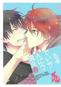 Tonde Hi Ni Iru Haru Usagi — hentai manga cover on Fhentai