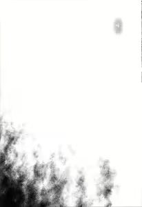 Page 36 of T-20 Fei Tas - preview thumbnail