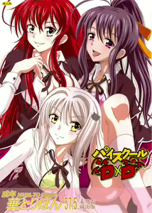 Seinen hana to ribon 57. 5 Paisukūru DxD — hentai manga cover on Fhentai