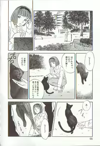 Page 66 of Sakurairo no Shouzou Night Gallery I - preview thumbnail