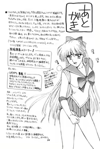 Page 84 of Minako - preview thumbnail
