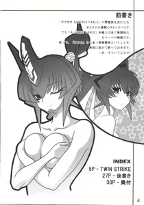 Page 4 of TWIN STRIKE - preview thumbnail