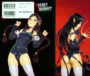 Page 2 of Secret Journey - preview thumbnail