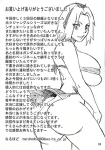 Page 40 of G3 - preview thumbnail