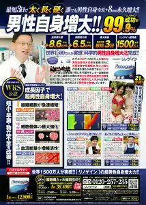 Page 251 of Action Pizazz DX 2014-11 - preview thumbnail