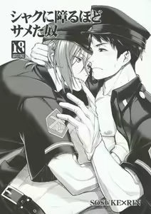 Shaku ni Sawaru Hodo Sameta Yatsu — hentai manga cover on Fhentai