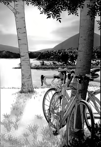 Page 16 of Inran Saddle - preview thumbnail