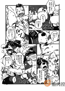 Page 8 of Bernese Bernese - preview thumbnail