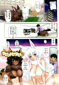 Rabbit Therapy — hentai manga cover on Fhentai