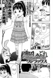 Rintoshite Shabure — hentai manga cover on Fhentai