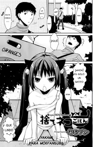 Sute Neko Gohan — hentai manga cover on Fhentai