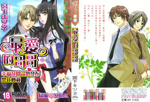 Aisuru Oniisan | 最愛的哥哥 — hentai manga cover on Fhentai
