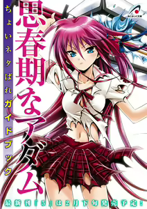 Shishunki na Adam Choi Netabare Guidebook — hentai manga cover on Fhentai