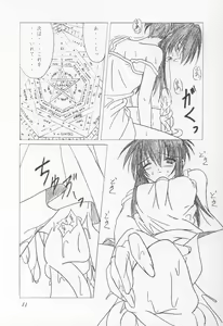 Page 10 of 13 - preview thumbnail
