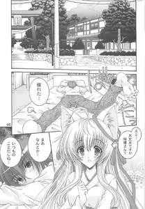 Page 4 of Tamashiro - preview thumbnail