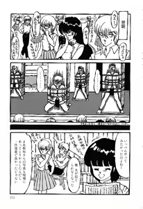 Page 211 of PAGE1 NO. 2 - preview thumbnail
