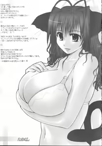 Page 3 of AbfaIL - preview thumbnail
