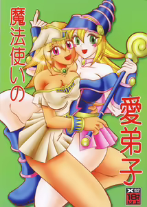 Mahou Tsukai no Manadeshi — hentai manga cover on Fhentai