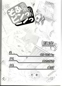 Page 3 of Sofu Pin - preview thumbnail