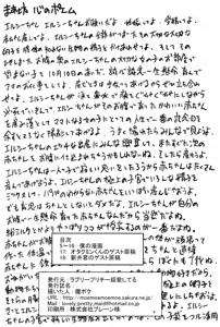 Page 3 of Elsie Isteari Seishoku Kiroku - preview thumbnail