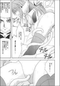 Page 13 of Kouseki no Kizuato - preview thumbnail