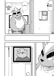 Page 11 of Mekko Rarekko 3 - preview thumbnail
