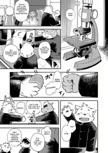 Page 8 of Mekko Rarekko 4 - preview thumbnail