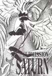 Page 2 of SUBMISSION SATURN - preview thumbnail