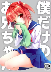 Bokudake No Oni-chan — hentai manga cover on Fhentai
