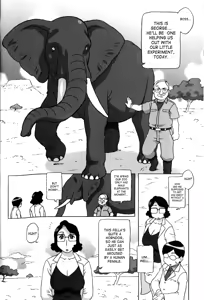 Page 4 of Project Zo | Project Elephant - preview thumbnail