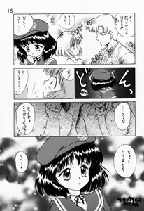 Page 14 of SUBMISSION SATURN - preview thumbnail