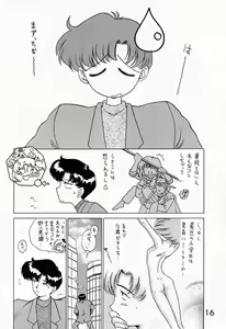 Page 15 of SUBMISSION SATURN - preview thumbnail