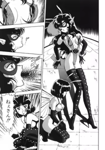 Page 297 of Bondage Fairies Zannin Shimai - preview thumbnail