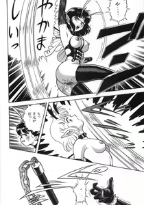 Page 334 of Bondage Fairies Zannin Shimai - preview thumbnail