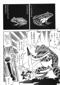 Page 48 of Bondage Fairies Zannin Shimai - preview thumbnail