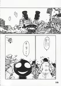 Page 38 of Tsurupeta Kenkyuu Houkokusho 009 - preview thumbnail