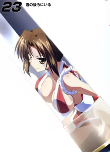 Page 20 of Mai Shiranui - preview thumbnail