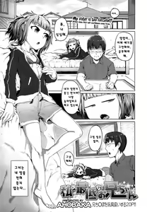 Watashi no Saitei na Onii-chan | My Terrible Brother — hentai manga cover on Fhentai