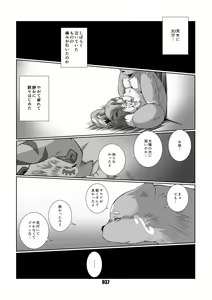 Page 36 of PLEIADES 2 - preview thumbnail