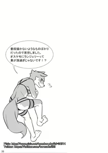 Page 34 of ♂ Kemo Lingerie Book - preview thumbnail