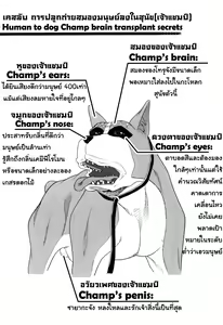 Page 5 of Inu no Seikatsu - A Dog's Life | เป็นหมาถึงได้เซ็กซ์ Ch. 1-3 - preview thumbnail