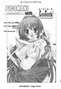 Page 2 of PICOMANI:05 - preview thumbnail
