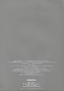 Page 34 of Serafina-fixer - preview thumbnail
