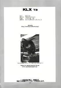 Page 26 of KLX T3 - preview thumbnail