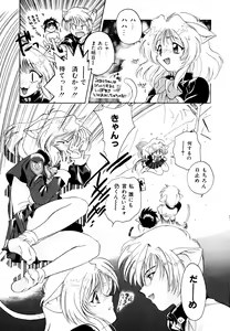 Page 67 of Neko Masshigura! - preview thumbnail