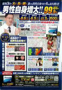 Page 251 of Action Pizazz DX 2015-04 - preview thumbnail