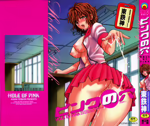 Pink no Ana - Hole of Pink — hentai manga cover on Fhentai