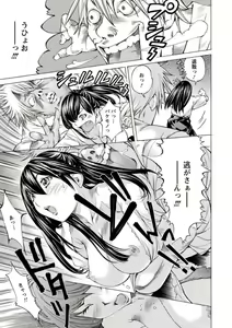 Page 88 of Seigangu Kousoku Ningyou - preview thumbnail