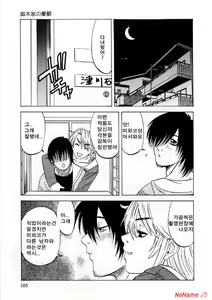 Page 105 of Miserarete... - preview thumbnail